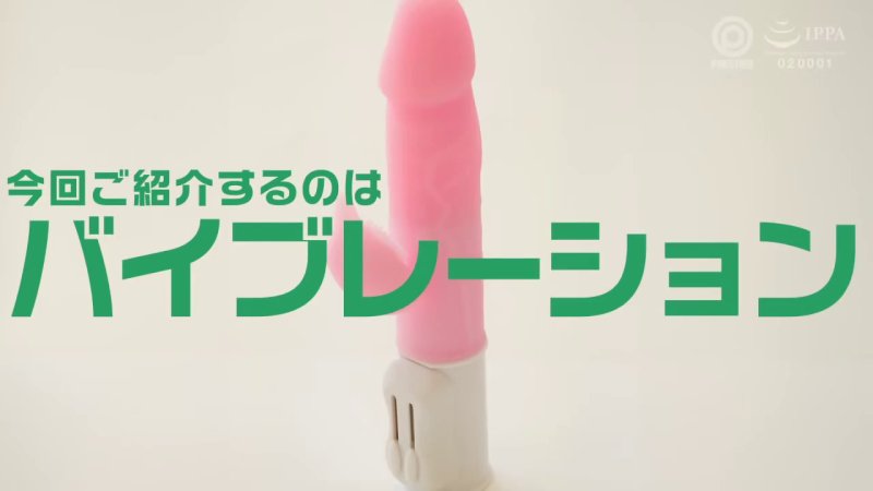 サンプル画像