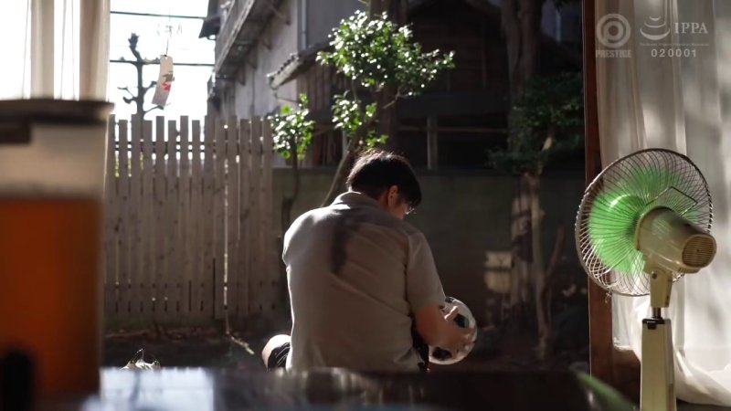 田舎の蒸し暑い夜に、幼馴染同士が織りなす情熱的な交尾の物語